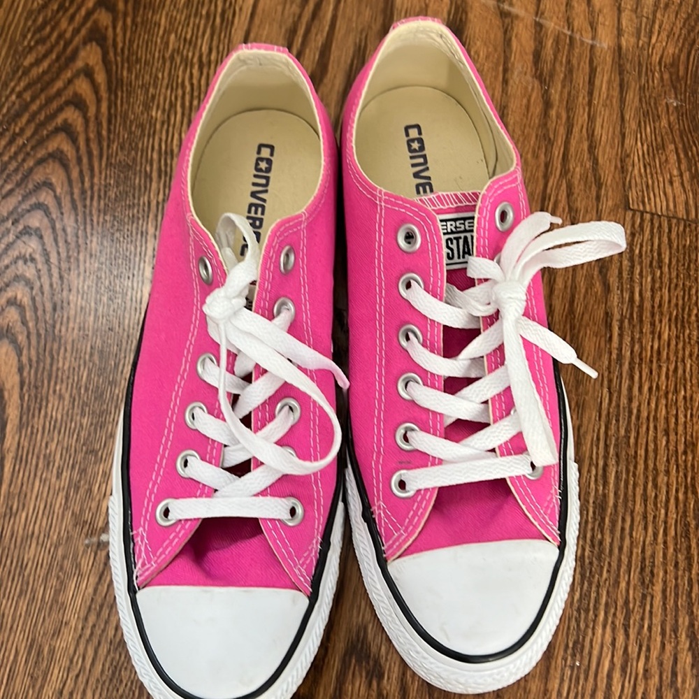 Converse Adult Chuck Taylor All Star Seasonal Canvas Low Top Sneaker